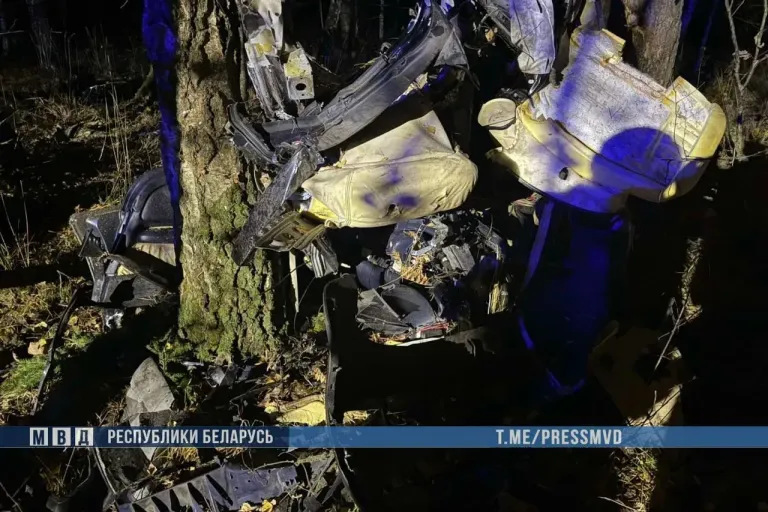 Трое подростков погибли в ДТП в Лельчицком районе